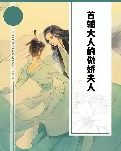 首辅大人的傲娇夫人