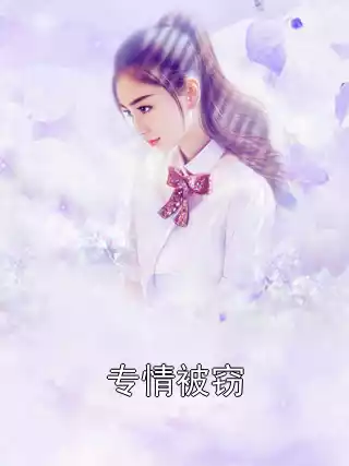 专情被窃小说