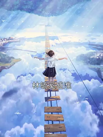 林毓奚盛淮小说