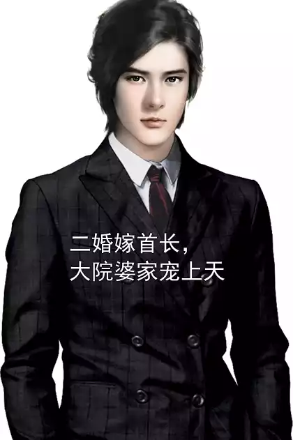 二婚嫁首长，大院婆家宠上天小说