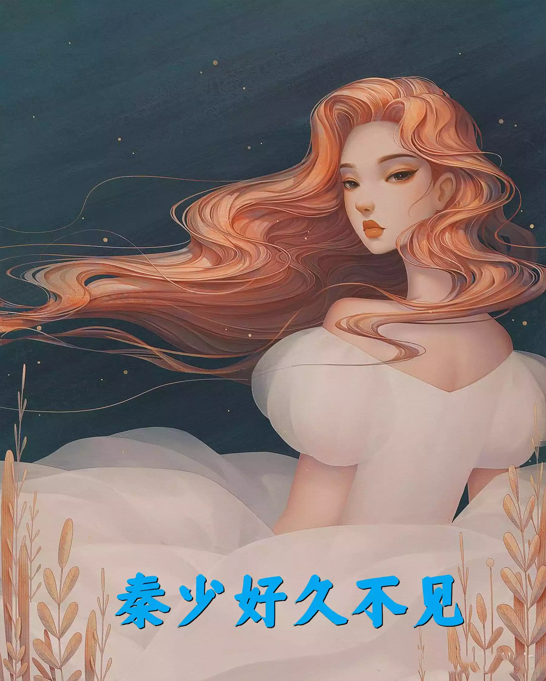 秦少好久不见小说