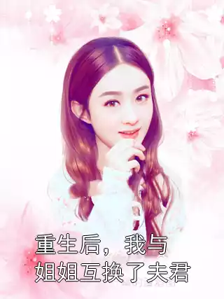 重生后，我与姐姐互换了夫君小说