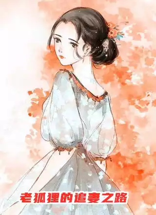 老狐狸的追妻之路小说