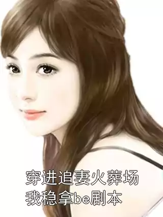 穿进追妻火葬场我稳拿be剧本小说