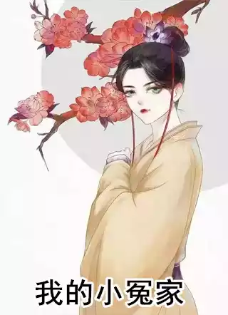 我的小冤家小说