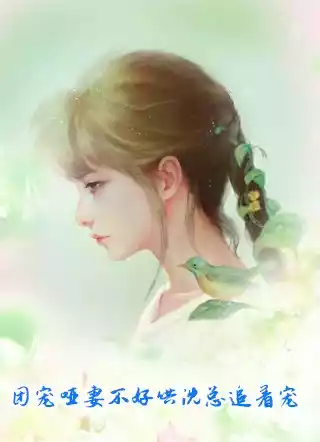 团宠哑妻不好哄沈总追着宠小说
