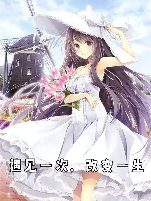 遇见一次改变一生小说
