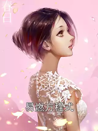 易燃方程式小说