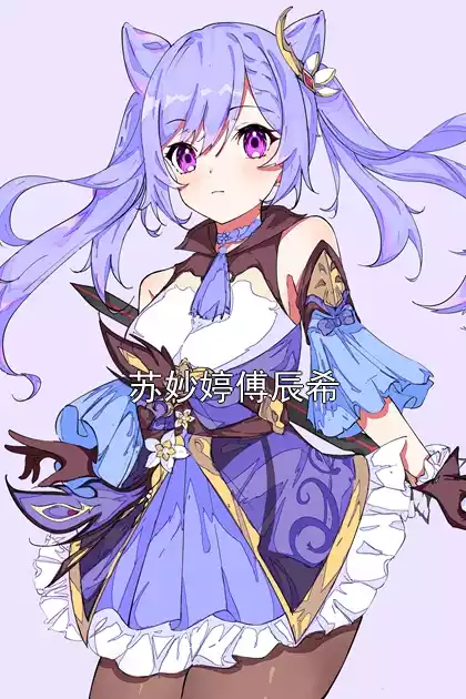 苏妙婷傅辰希小说