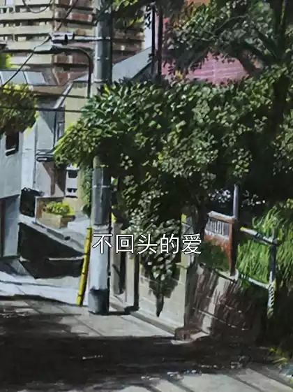 不回头的爱小说