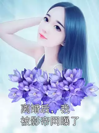 离婚后，我被影帝网曝了小说