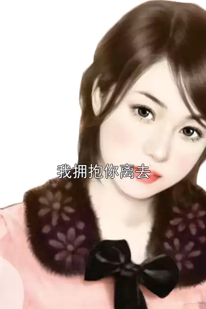 我拥抱你离去小说
