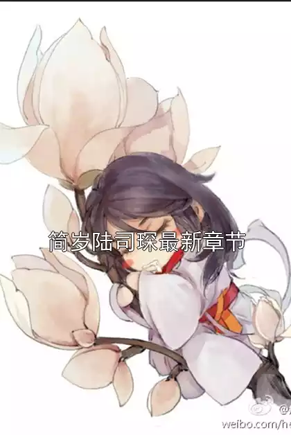 简岁陆司琛最新章节小说