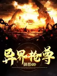 异界枪尊小说