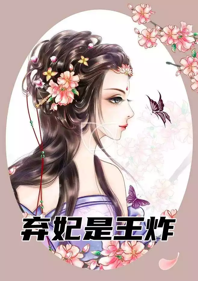 弃妃是王炸小说