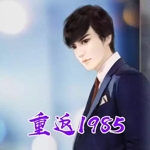 重返1985小说