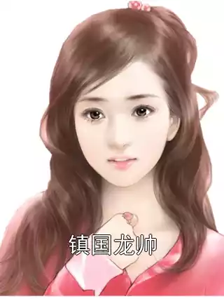 镇国龙帅