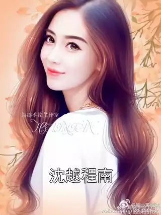 沈越程南小说
