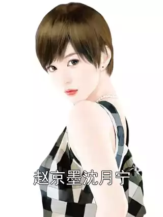 赵京墨沈月宁小说