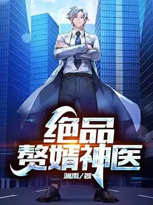 绝品赘婿神医小说