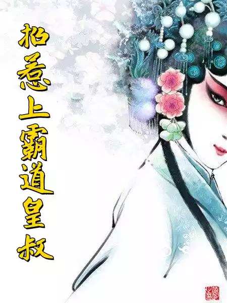 招惹上霸道皇叔小说