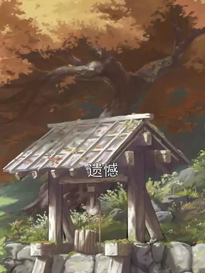 遗憾小说