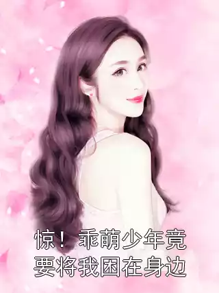 惊！乖萌少年竟要将我困在身边小说