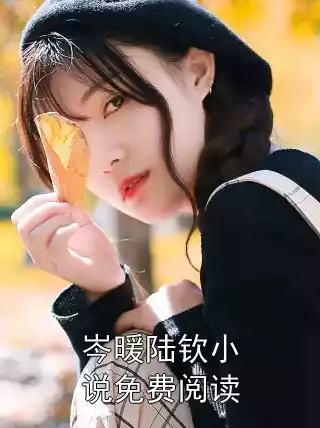 岑暖陆钦小说免费阅读小说