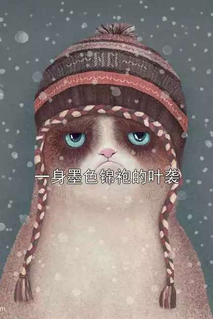 一身墨色锦袍的叶袭小说