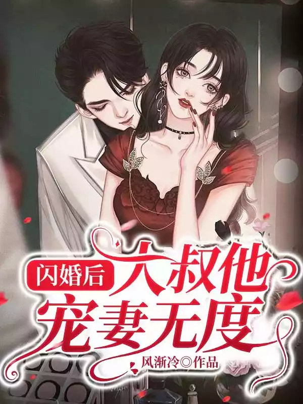 闪婚后，大叔他宠妻无度小说