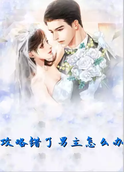 攻略错了男主怎么办小说