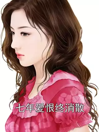 七年爱恨终消散小说