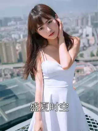 盛夏时空小说