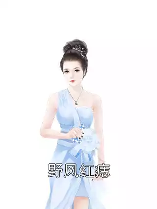 野风红痣小说