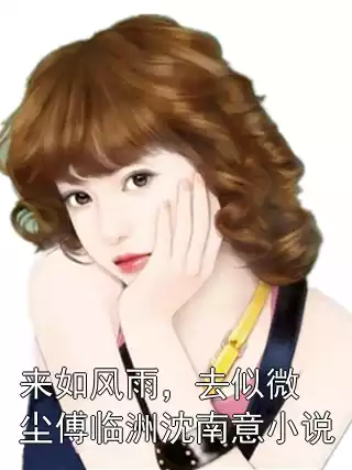 来如风雨，去似微尘傅临洲沈南意小说