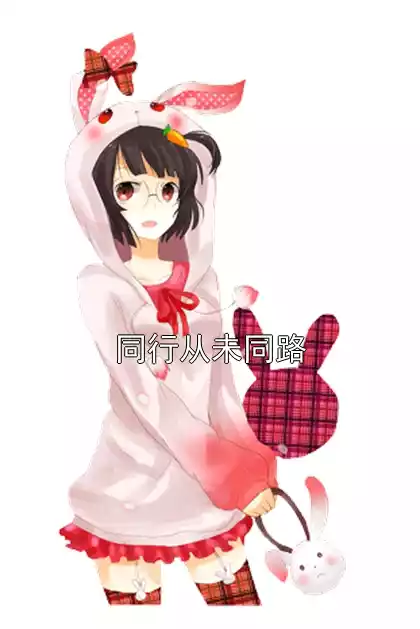 同行从未同路