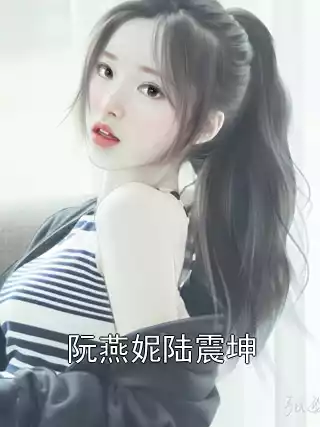 阮燕妮陆震坤小说
