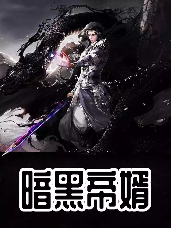 暗黑帝婿