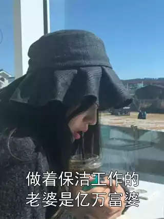 做着保洁工作的老婆是亿万富婆小说