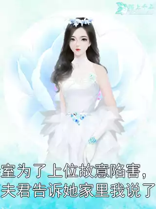 妾室为了上位故意陷害，可夫君告诉她家里我说了算小说