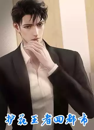 护花王者回都市小说