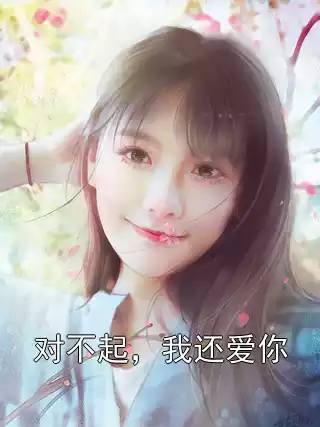 对不起，我还爱你小说