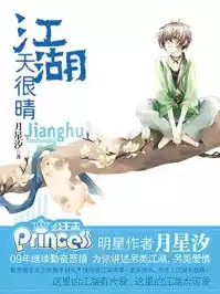江湖天很晴小说