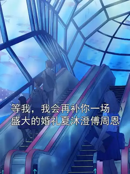 等我，我会再补你一场盛大的婚礼夏沐澄傅周恩