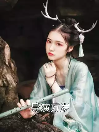 导演万岁小说