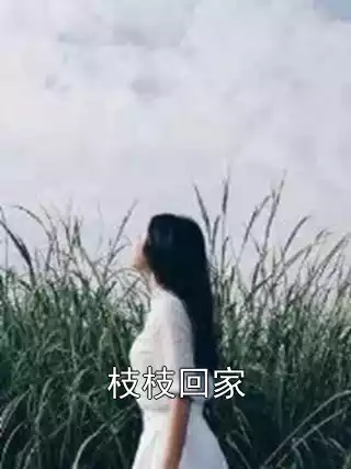 枝枝回家小说