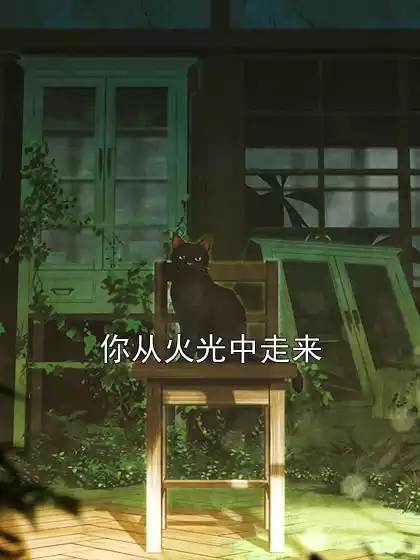 你从火光中走来小说