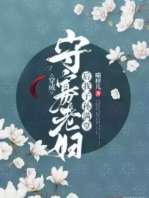 穿成守寡老妇后我子孙满堂小说