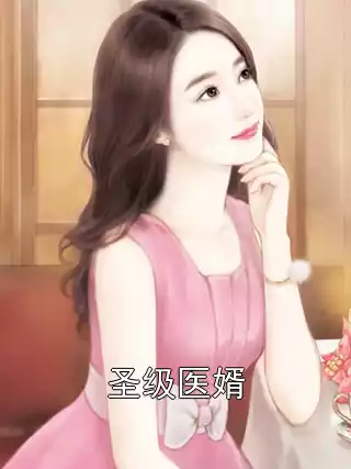 圣级医婿小说