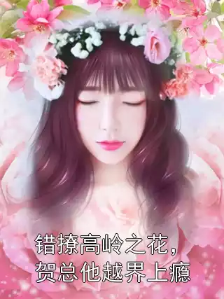 错撩高岭之花，贺总他越界上瘾小说